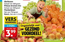 Hoogvliet Abrikozen, Pitloze Druiven Mix, Mandarijnen of Kanzi aanbieding