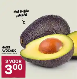 Ekoplaza hass avocado aanbieding