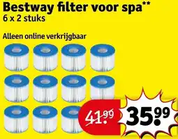 Kruidvat Bestway filter voor spa aanbieding