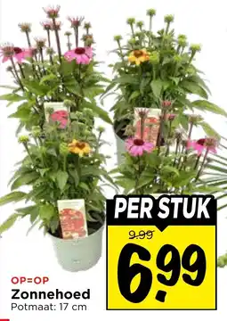 Vomar Voordeelmarkt Zonnehoed aanbieding