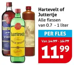 Hoogvliet Hartevelt of Juttertje aanbieding