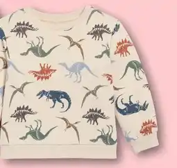 Kik Kinder sweatshirt dino's aanbieding