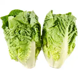 Dekamarkt Bio+ Mini romaine aanbieding