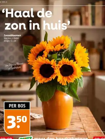 Poiesz Zonnebloemen aanbieding
