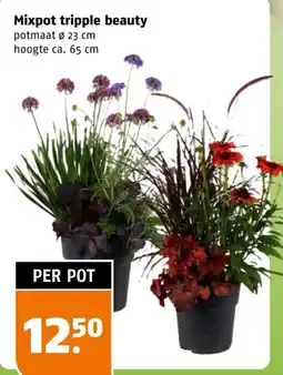 Poiesz Mixpot tripple beauty aanbieding