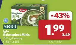 Combi Markt DE iglo rahmspinat minis aanbieding