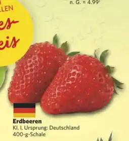Combi Markt DE Erdbeeren aanbieding