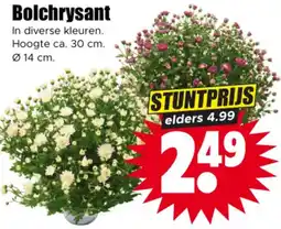 Dirk Bolchrysant aanbieding