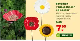 Welkoop Bloemen vogelschalen op steker aanbieding