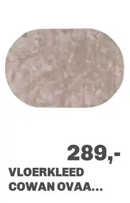 Trendhopper Vloerkleed Cowan ovaal lichtgrijs 21 aanbieding