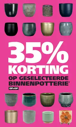 Ranzijn OP GESELECTEERDE BINNENPOTTERIE* aanbieding