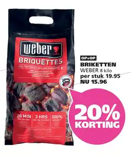 Ranzijn BRIKETTEN WEBER aanbieding