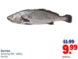 Makro Corvina aanbieding