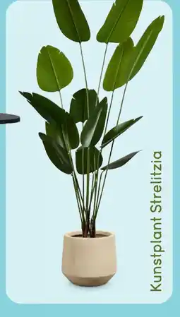 Leen Bakker Bekijk kunstplant Strelitzia aanbieding