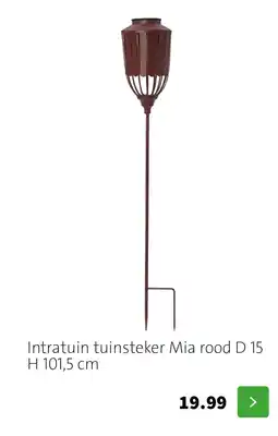 Intratuin Intratuin tuinsteker Mia rood D 15 H aanbieding