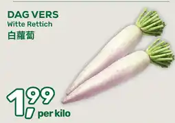 Amazing Oriëntal Dag vers witte rettich aanbieding