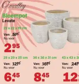 Van Cranenbroek O'malley Bloempot Levate aanbieding