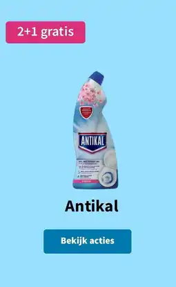Plein.nl Antikal aanbieding