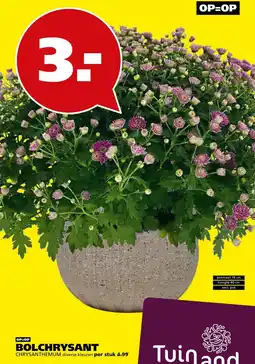 Tuinland Tuinland BOLCHRYSSANT aanbieding