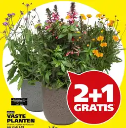 Tuinland vaste planten aanbieding