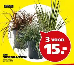 Tuinland Siergrassen aanbieding