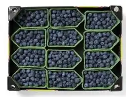 HANOS Bessen Blauw aanbieding