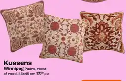 Kwantum Winnipeg Kussens aanbieding