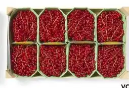 HANOS Bessen Rood aanbieding
