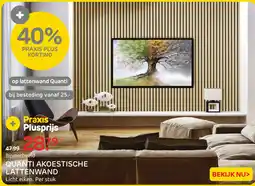 Praxis Quanti akoestische lattenwand aanbieding