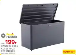 Praxis Central Park kussenbox strongbox aanbieding