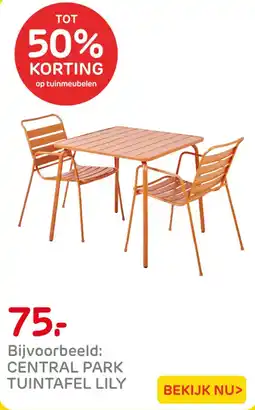 Praxis central park tuintafel lily aanbieding