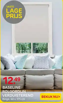 Praxis Baseline rol gordijn aanbieding