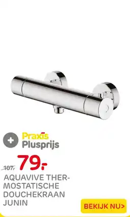 Praxis Aquavive thermostatische douchekraan junin aanbieding