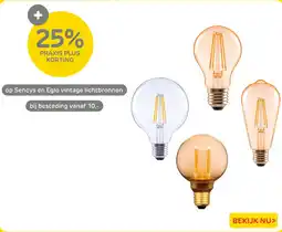 Praxis Sencys en Eglo vintage lichtbronnen aanbieding