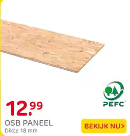 Praxis OSB PANEEL aanbieding