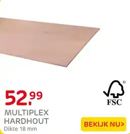 Praxis multiplex hardhout aanbieding