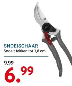 Kluswijs snoeischaar aanbieding