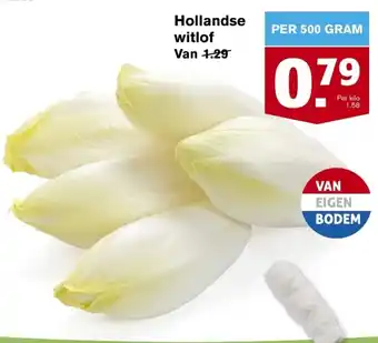 Hoogvliet Hollandse witlof 500g aanbieding