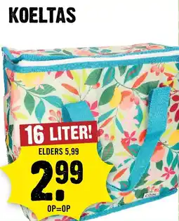 Dirck 3 Koeltas aanbieding