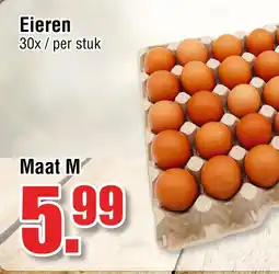 Ter Huurne Holland Markt Eieren Maat M aanbieding