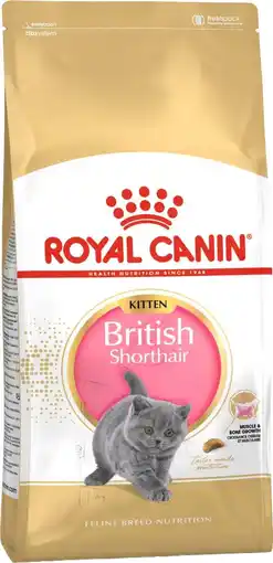 Intratuin Royal Canin kattenvoer brokken Britse Korthaar kitten 400 g aanbieding