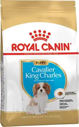 Intratuin Royal Canin hondenvoer brokken Cavalier King Charles puppy 1,5 kg aanbieding