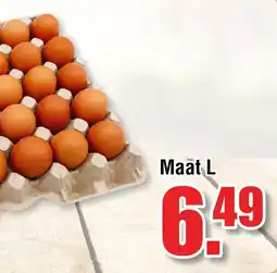 Ter Huurne Holland Markt Eieren Maat L aanbieding