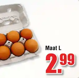 Ter Huurne Holland Markt Eieren Maat L aanbieding
