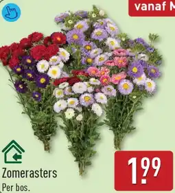 ALDI Zomerasters aanbieding