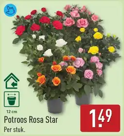 ALDI Potroos Rosa Star aanbieding