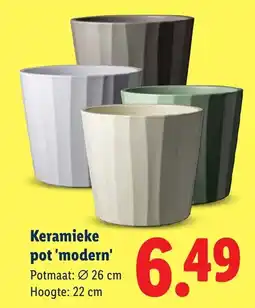 Lidl Keramieke pot 'modern' aanbieding