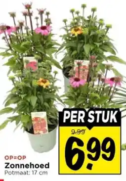 Vomar Voordeelmarkt Zonnehoed aanbieding