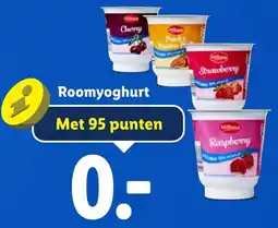 Lidl Roomyoghurt aanbieding