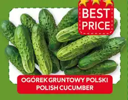Food Plus Ogórek gruntowy polski aanbieding